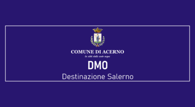 Destination Management Organization (DMO)