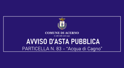 AVVISO D’ASTA PUBBLICA – Acqua di Cagno